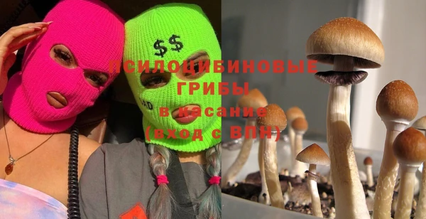 ГАЛЛЮЦИНОГЕННЫЕ ГРИБЫ Абинск