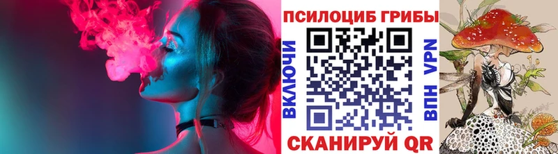 Псилоцибиновые грибы Psilocybe  как найти закладки  Щёлкино 